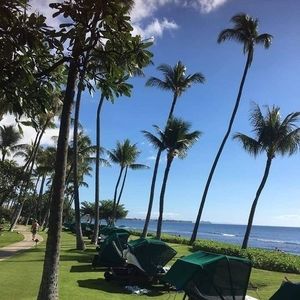 Meet your Posher, Trinh